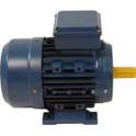 Motor Universal 4 kw 3000 rpm Tr. HF31  Fl. e Pt.